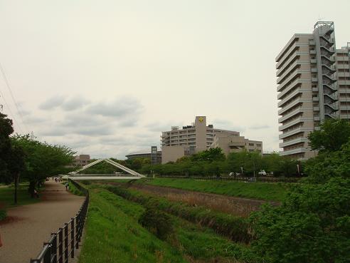 新横浜～センター北②.JPG